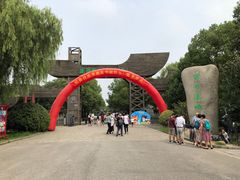 -溱湖国家湿地公园