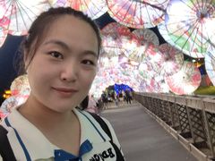-赵州桥景区