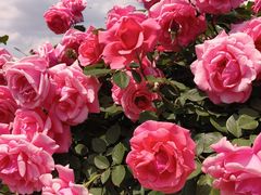 -同德昆明广场购物中心