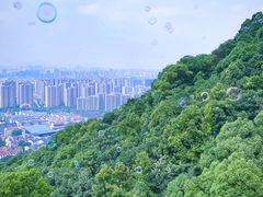 -杭州半山国家森林公园