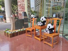 -成都绿洲大酒店(春熙路太古里店)