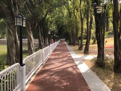 -云溪植物园