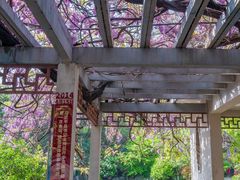 -郑和公园