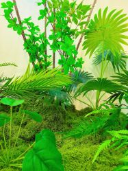 -FUMEIHUI·科技美肤·美体SPA