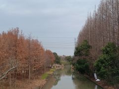 -上海长兴岛郊野公园