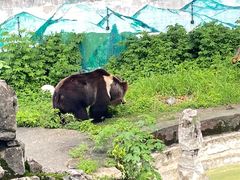 -成都动物园