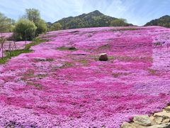 -昆嵛山石门里景区