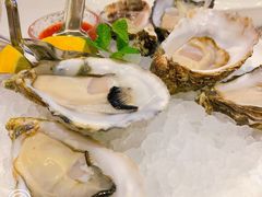 -Oyster Talks 四度蚝法餐厅