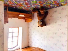 -金山农民画村-枫泾波兰倒置屋