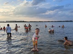 -瑶湖郊野森林公园