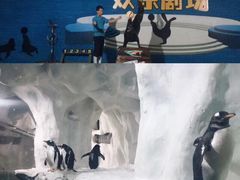 -南昌海洋公园