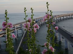 -星海湾跨海大桥