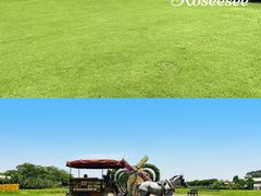 -迪茵湖田家舍生态农场