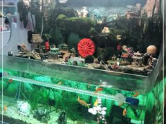 水产区-旺角宝港式茶餐厅(寮步店)