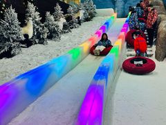 -世界之窗阿尔卑斯冰雪世界