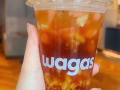 -Wagas沃歌斯(大学路店)