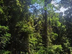 -火炉山森林公园