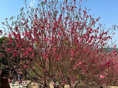 -水濂山森林公园