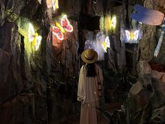 -正佳雨林生态植物园
