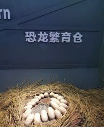 -恐龙探索乐园(磁器口店)