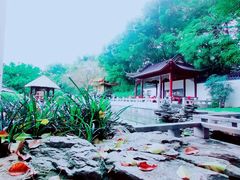 -深圳国际园林花卉博览园