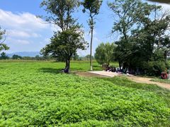 -良渚文化村