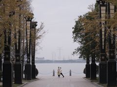 -燕鸣岛