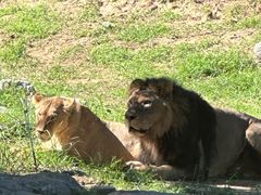 -北京野生动物园