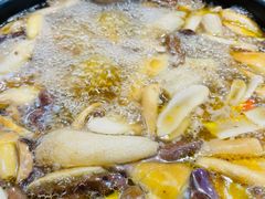 -菌之家·专业纯野生菌火锅·特色炒菌