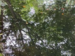 -成都市活水公园