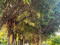 -番禺博物馆-冼星海纪念馆