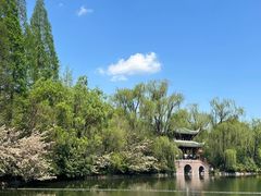 -棠湖公园