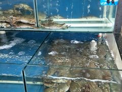水产区-渔民船说·北塘海鲜·天津菜·海肠捞饭(北塘古镇店)