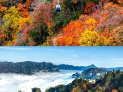 -光雾山旅游景区