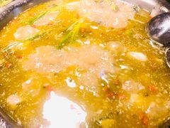 鲜椒麻辣青锅-鲜椒鱼·雅安地标性美食