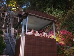 -Rock Bar Bali(Bali)