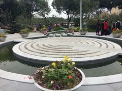 -昆山城市生态森林公园