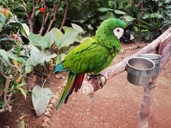 -南宫五洲植物乐园