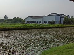 -陶辛水韵