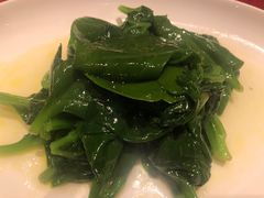 清炒木耳菜-镇江苏宁万豪酒店-苏筵中餐厅