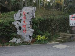 -龙井村