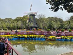 -上海鲜花港