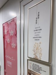 -镁连社·美联社