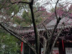 -天一阁博物院