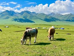 -新疆那拉提国家旅游度假区