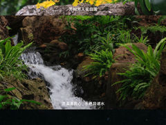 -广州兰圃