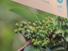 -半天妖烤鱼(蒸湘万达广场店)
