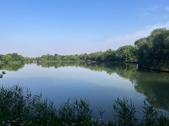 -苏州太湖国家湿地公园