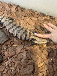 点击看大图 -Zoolung Zoolung动物主题公园(海信广场店)