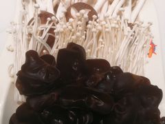 -顺风肥牛(中央国际店)